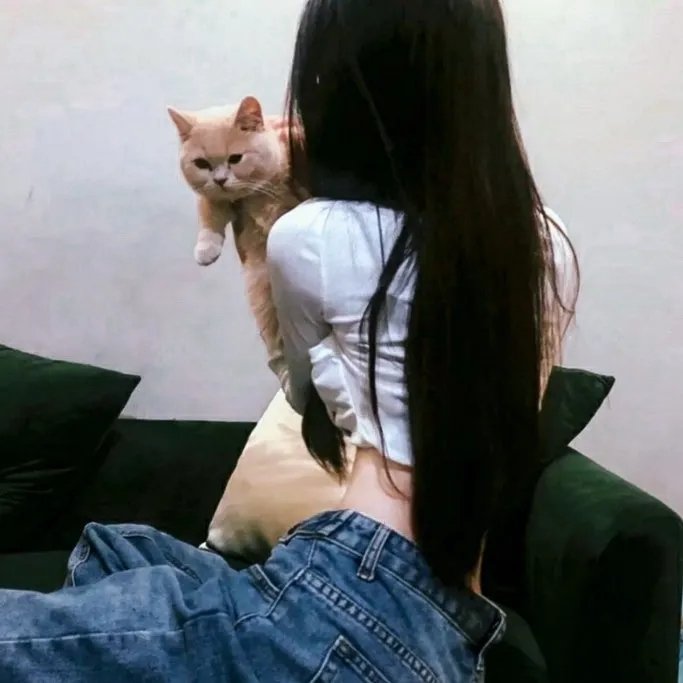 风尘血泪